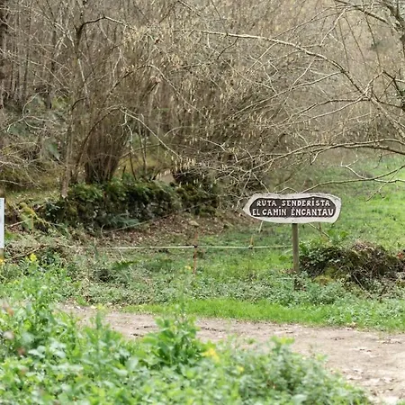 La Teyera De Pili * Allende